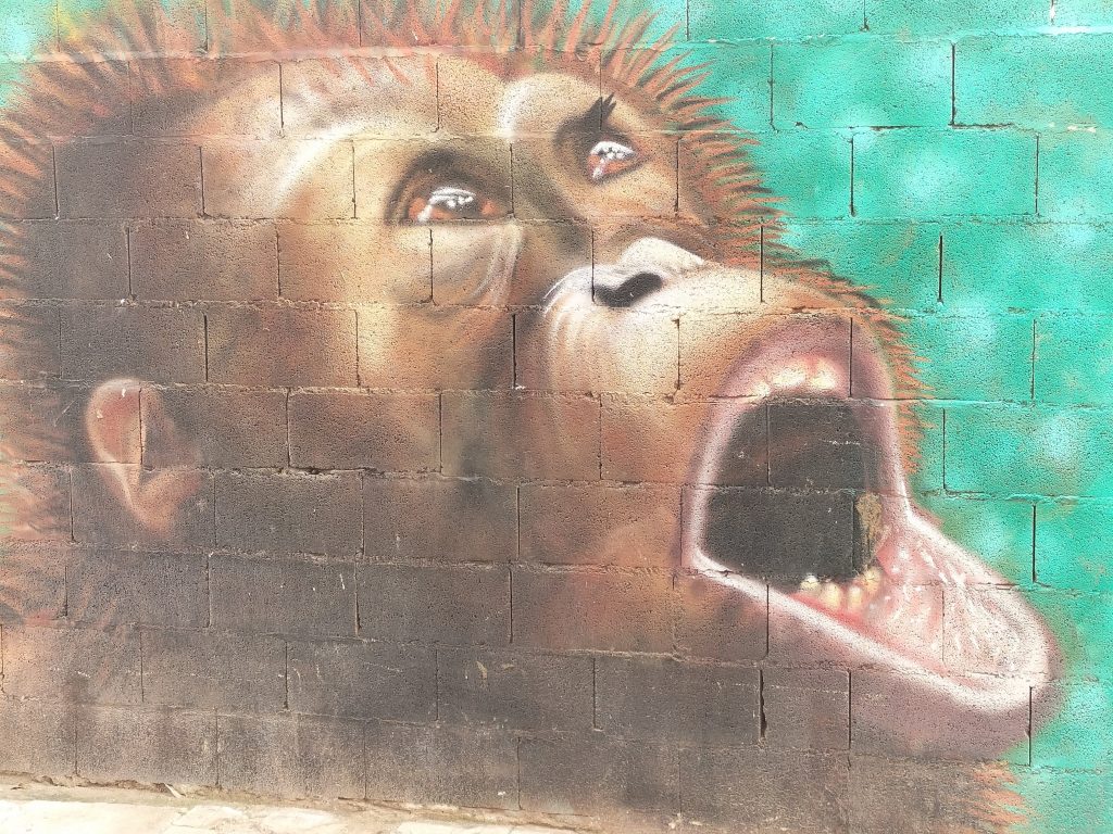 Street art of a screamng monkey in Lagunillas district of Malaga city.
Image: Deborah Cater